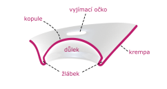 Evanella měkčí ametystová