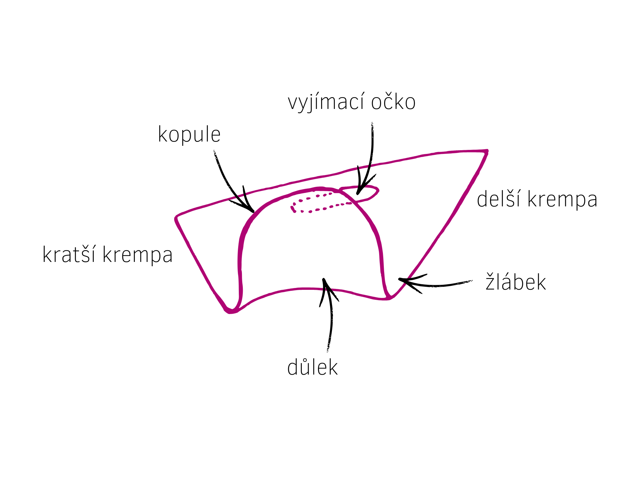 Vyjímací očka na rozdíl od poutka u FemCapu